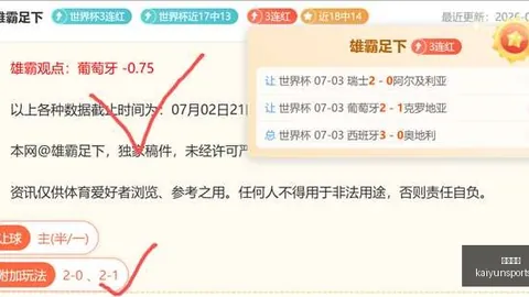 开云体育，体育博彩平台， 110120
